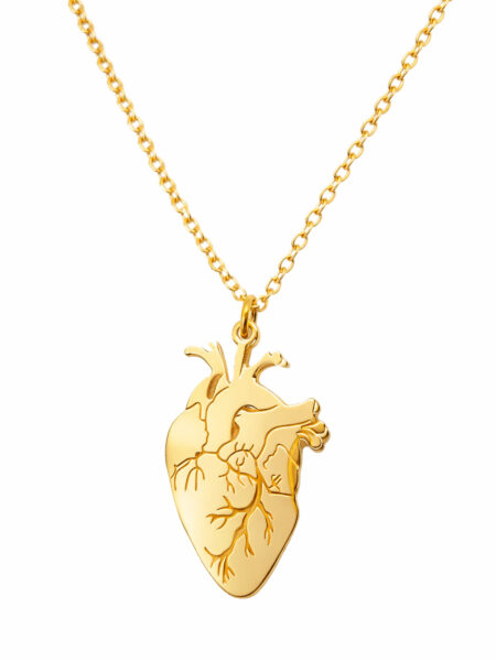 collana cuore anatomico