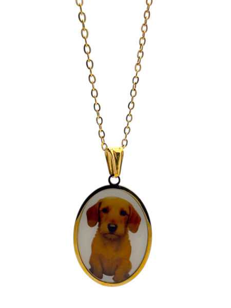 collana dog golden retriever
